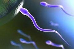 Опасный «папа»: донор спермы умер от генетического заболевания