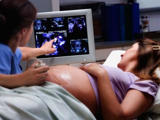 Сроки проведения УЗИ в течение беременности