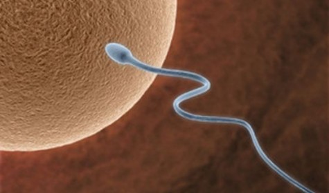 Учёные создали новый растворимый контрацептив для женщин