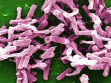 Больничные бактерии можно обратить против рака, убеждены врачи