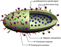 Разработан уникальный двуликий нанокурьер, предназначенный для поставки препаратов в раковые клетки