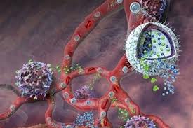 Вирусы, вызывающие насморк, могут лечить от рака – ученые