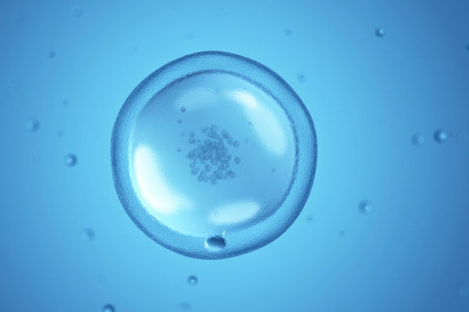 Заморозка яйцеклетки не защищает от угрозы бесплодия