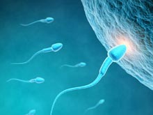 Немецкие изобретатели создали «спермаботы», решающие проблему бесплодия