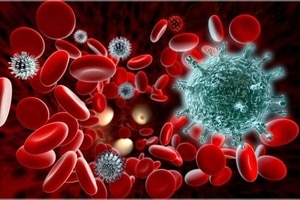 Американские ученые нашли лекарство от агрессивного рака крови